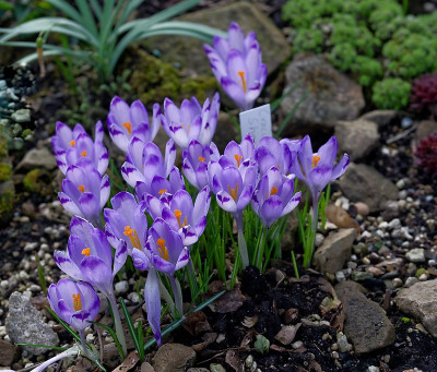 DSC_9879_DxO.jpg