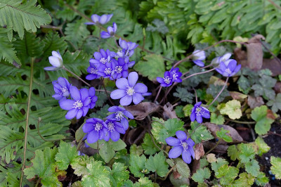 DSC_9883_DxO.jpg