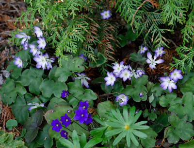 DSC_9886_DxO.jpg