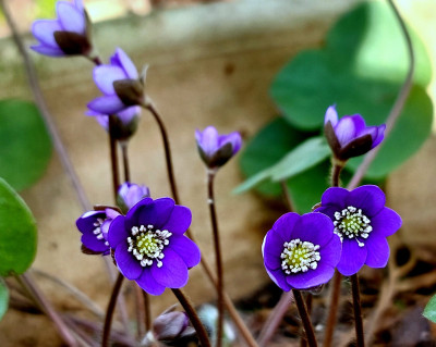 20260308_125352.jpg