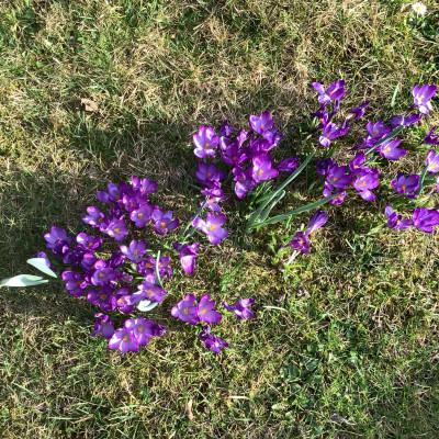 IMG_0742.jpeg