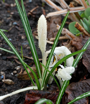 DSC02435_DxO.jpg
