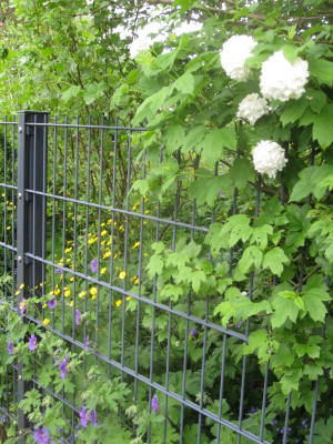 Blick vom Fußweg in den Garten