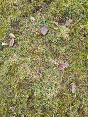 20260314_114943.jpg
