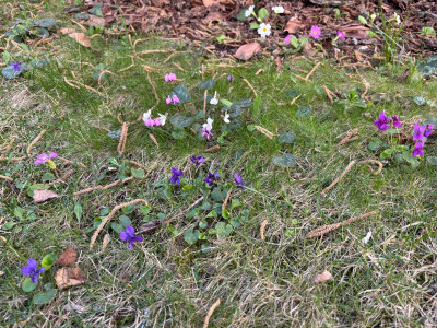 IMG_4608.jpeg