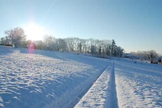 Neujahr1F.jpg
