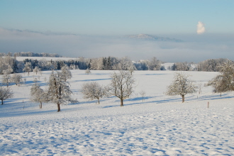 Neujahr2F.jpg