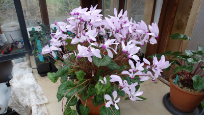 DSC00290.JPG