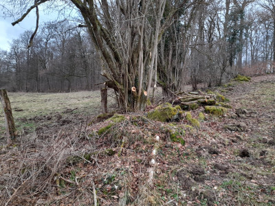 20260315_171435.jpg