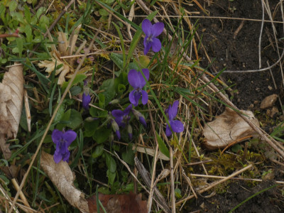 P1060167.JPG