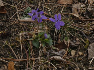 P1060201.JPG