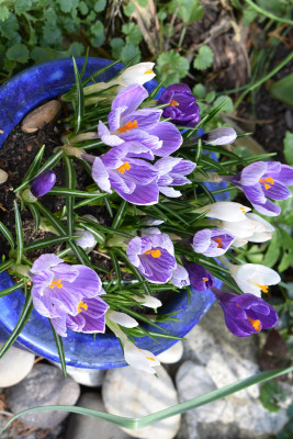 DSC_0917.JPG