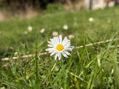 IMG_6877.jpeg