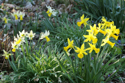 'February Silver', 'Peeping Tom'