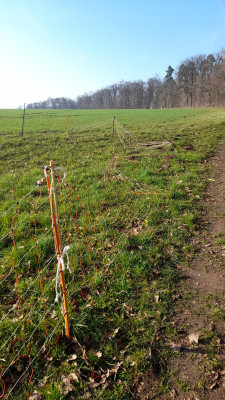 IMG-20260319-WA0002.jpeg