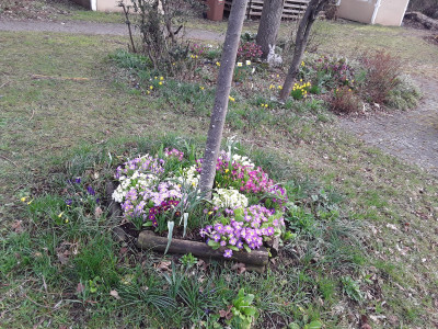 Endlich Frühling