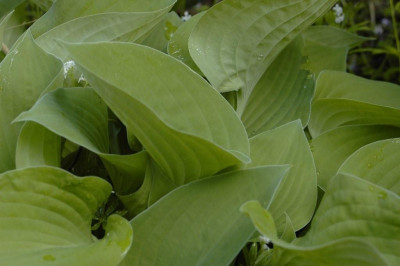 11.05.2008_055.jpg