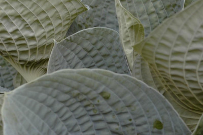 11.05.2008_050.jpg