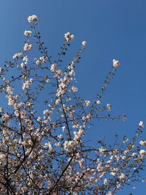 B87F0862-03E5-4161-8C33-F03848666BC3.jpeg