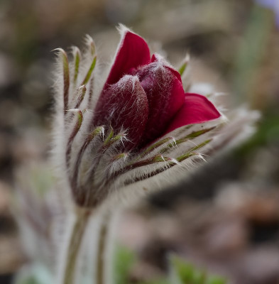 DSC_9908_DxO.jpg