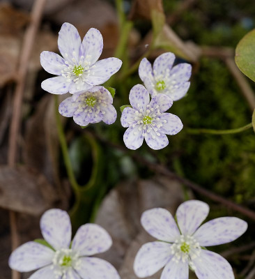 DSC_9924_DxO.jpg
