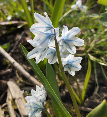 260323_Irgendetwas.jpg