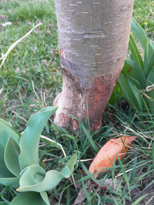 20260324_173023.jpg