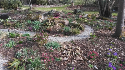 Waldgarten