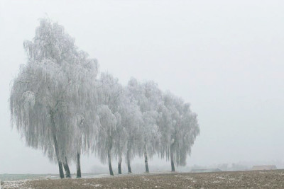 p1070992-a.jpg