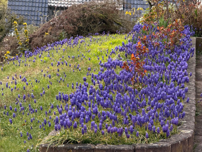 IMG_7832.jpeg