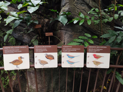 IMG_20260327_111615208.jpg