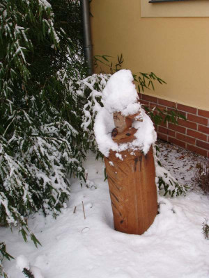 Gartenzwerg1_Winter_ue.jpg