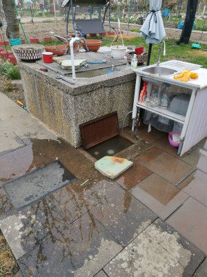 Wasser anstellen 2 20260328.jpeg