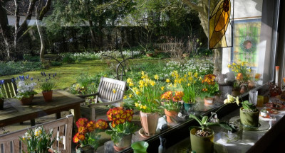 Fruehling-Mar2926_014_01.JPG