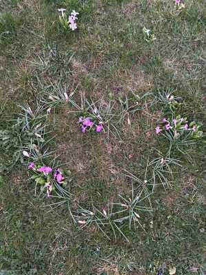 IMG_3558.jpeg