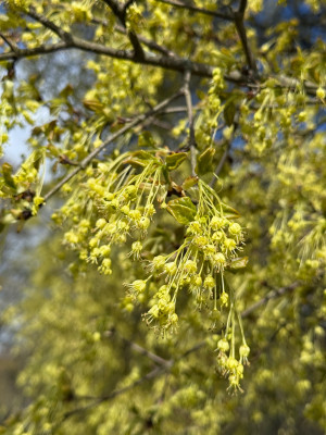 IMG_8210.jpeg