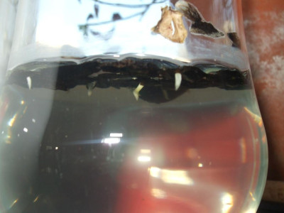 DSCF2208.JPG