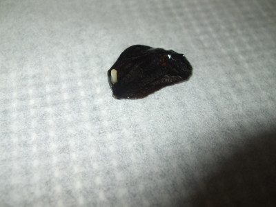 DSCF2212.JPG