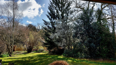 20260329_111121.jpg