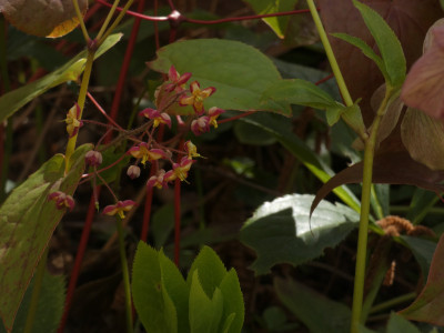 P1060287.JPG