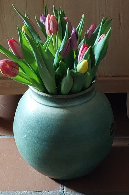 20 bunte Tulpen