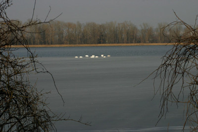 Jan.4209.jpg