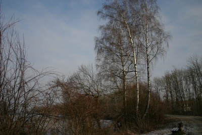 Jan.4409.jpg