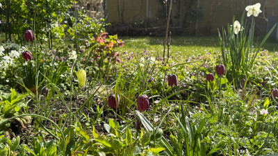 IMG_2282.jpeg