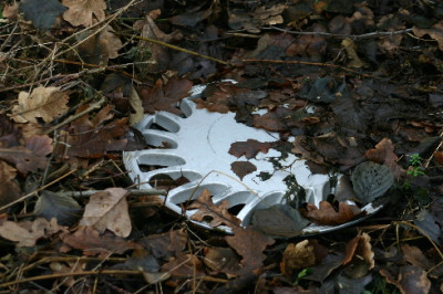 Stilleben-Jan-1.jpg