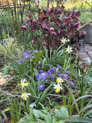 IMG_1958.jpeg