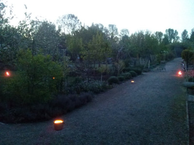 Spätfrost 2 20170420.jpeg