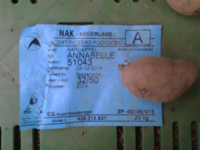 Kartoffeln Pflanzgutetikett.jpeg