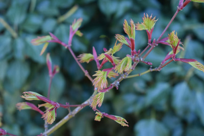 DSC_0940.JPG