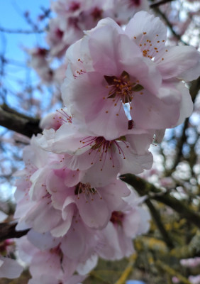 a25d304c-95c8-466c-b2c4-1d18c83dd95a~1.jpg